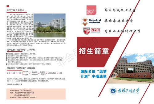 武漢工程大學(xué)3 1追夢計(jì)劃國際本科學(xué)歷認(rèn)可嗎